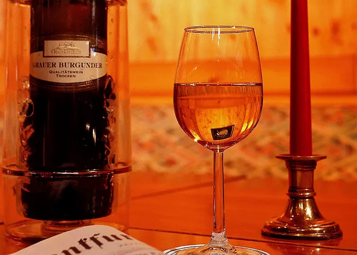 メルキュール アム メッセプラッツ オッフェンブルク 4* オフェンブルク